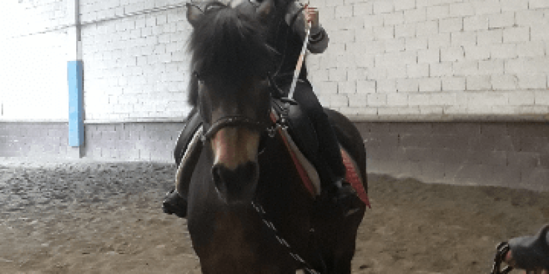 Ragazzo autistico a cavallo che fa un corso di ippoterapia